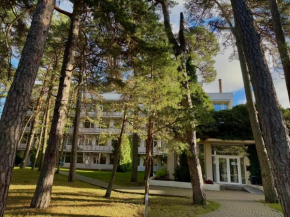 Palangos Dailė Palanga
